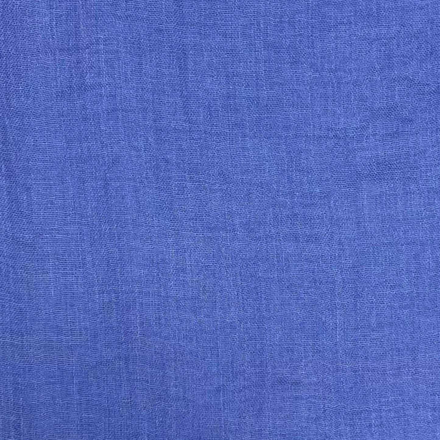Classic plain Cornflower